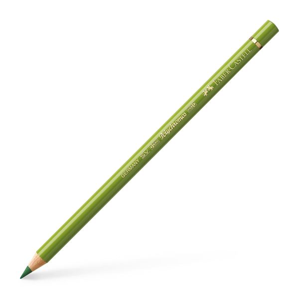 Color Pencil Polychromos // earth green yellowish