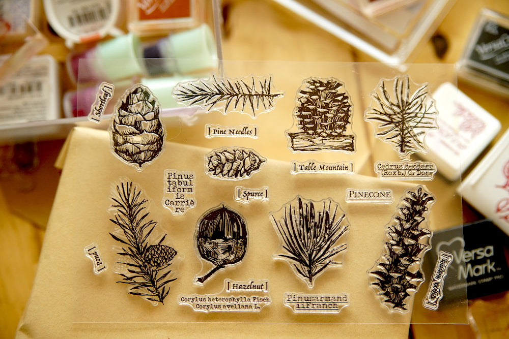 How to Use Clear Stamps