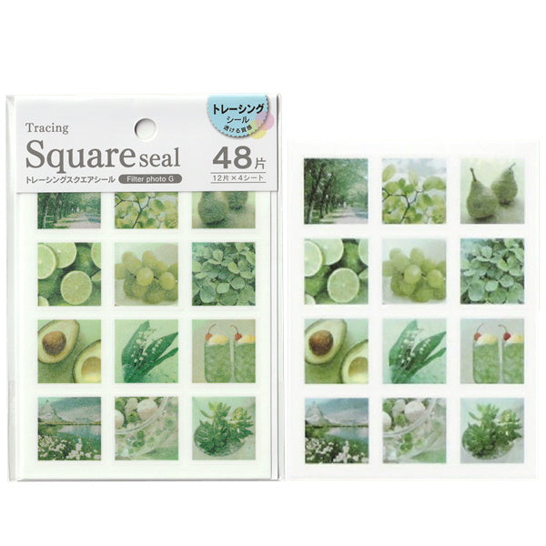 Tracing Square Sticker / Filter Photo Green