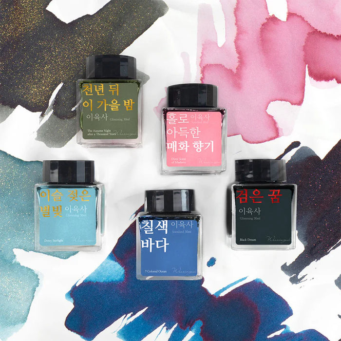 Wearingeul Fountain Pen Ink // Lee Yuk Sa