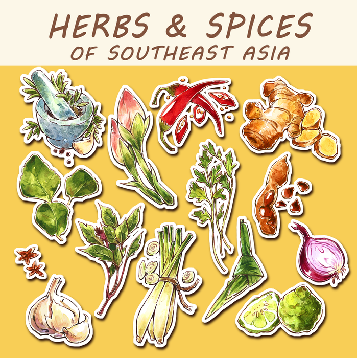 Thar Chandran Sticker Pack // Herbs & Spices of Southeast Asia