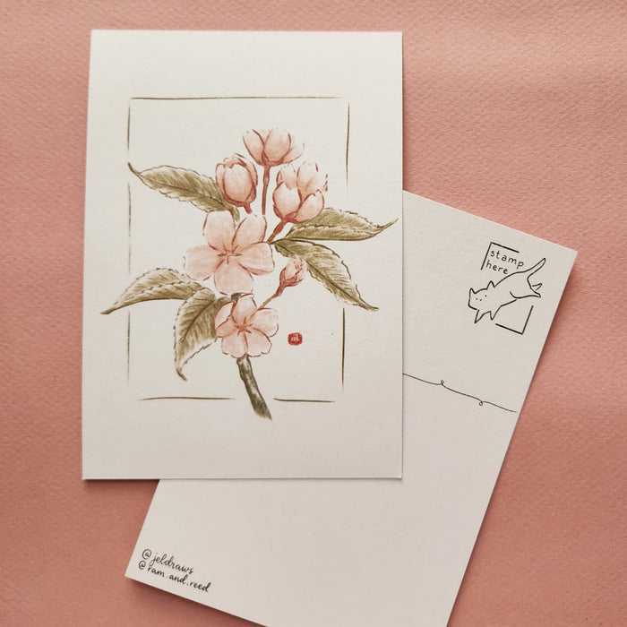 Ram & Reed Postcard // Cherry Blossom