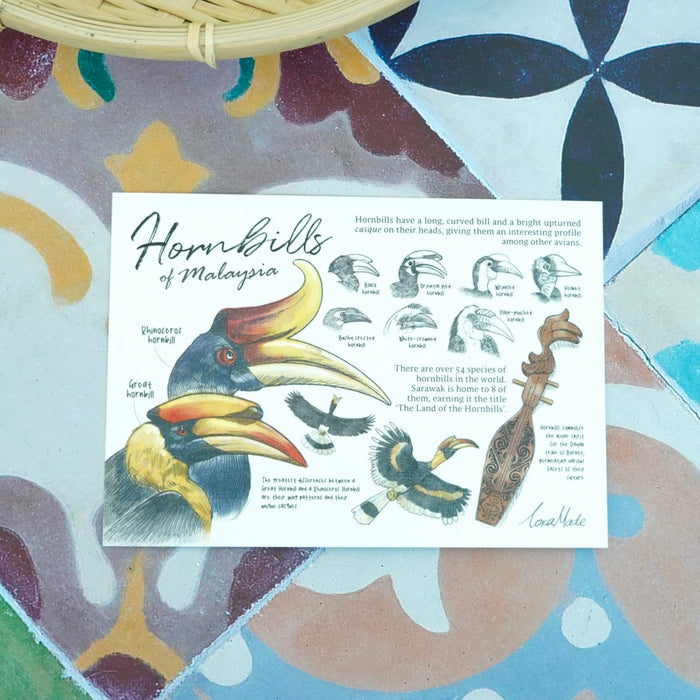 Lokapedia Postcard: Hornbills of Malaysia