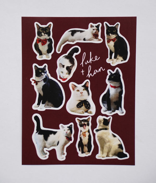 Stickerrific | Luke & Han Store Cat Stickers