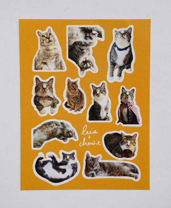 Stickerrific | Leia & Chewie Store Cat Stickers