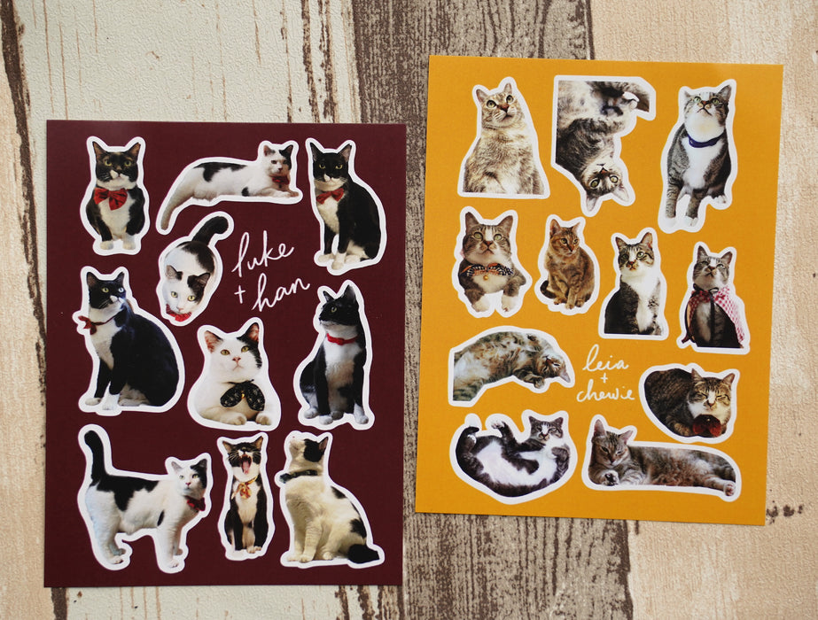 Stickerrific | Leia & Chewie Store Cat Stickers