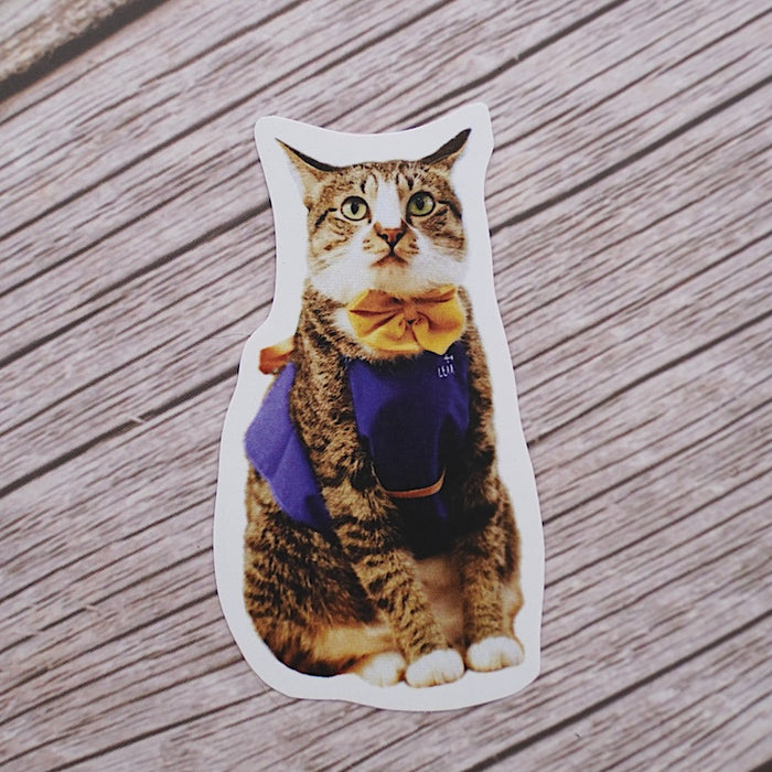 Shop Cat Leia Sticker