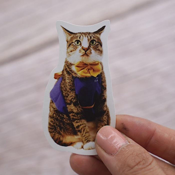 Shop Cat Leia Sticker