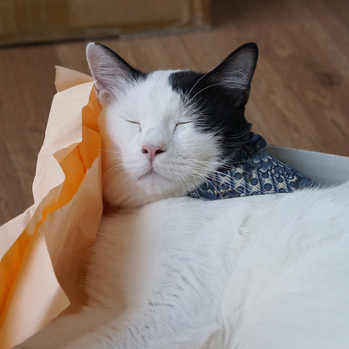 Mewji Cat Bandana / Batik