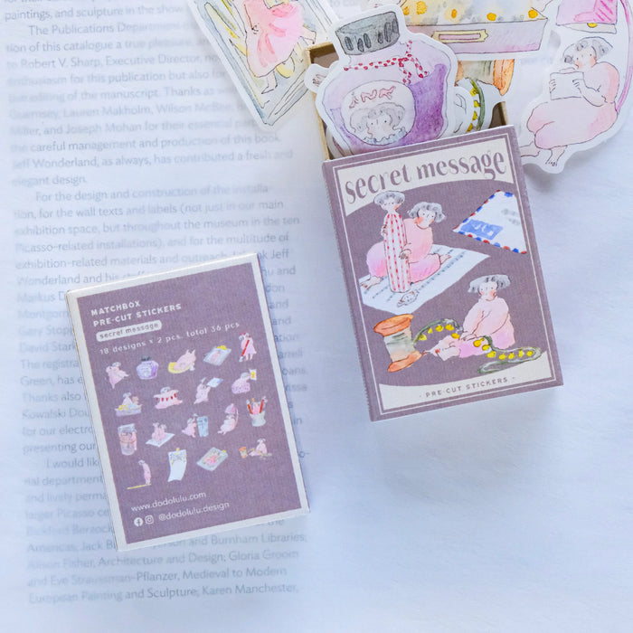 dodolulu Matchbox Washi Flake Stickers // Secret Message