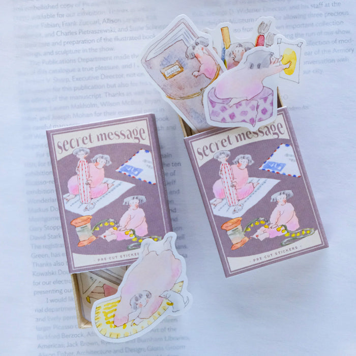 dodolulu Matchbox Washi Flake Stickers // Secret Message