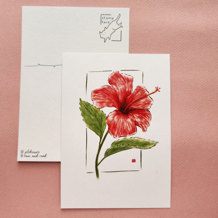 Hibiscus Postcard