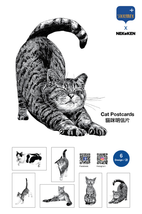 NEKoKEN Postcard // Cats (Set A)