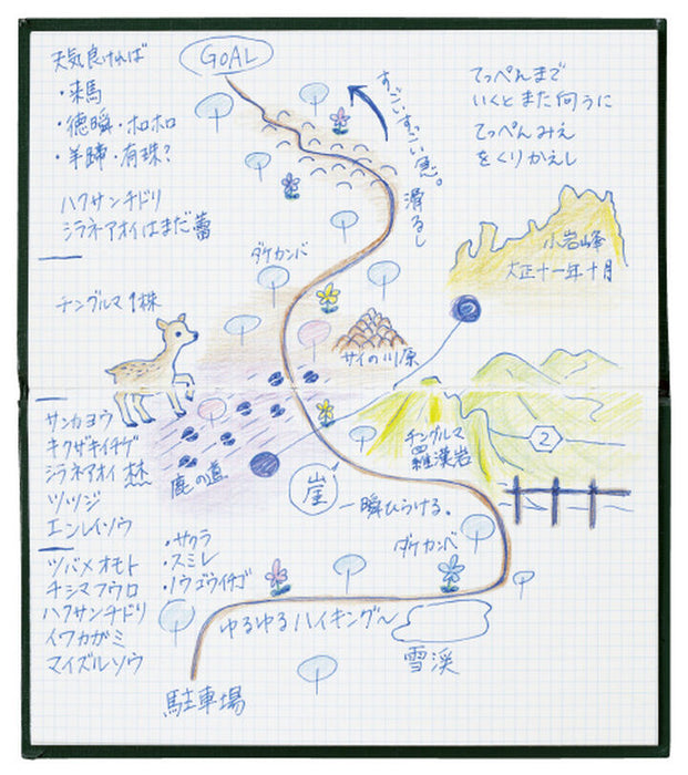 Kokuyo Sketchbook (3mm Grid)