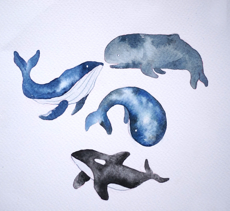 (PAINT WITH US) Printable: Whales