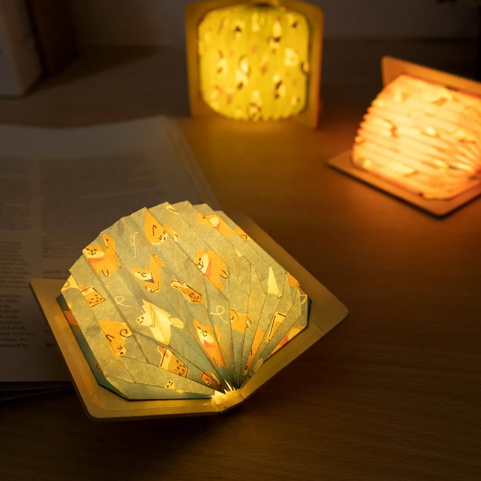 MD Folding Book Light
