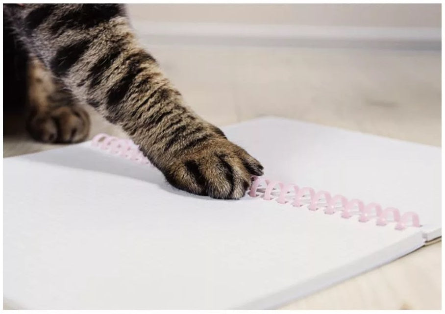 【Limited Edition] KOKUYO Campus Paws A5 Soft Ring Notebook