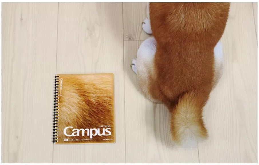 【Limited Edition] KOKUYO Campus Paws A5 Soft Ring Notebook