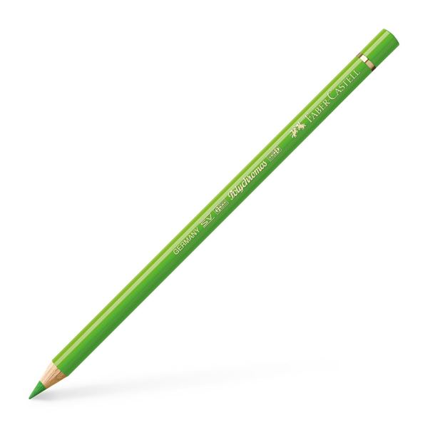 Color Pencil Polychromos // grass green