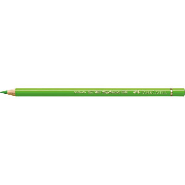 Color Pencil Polychromos // grass green