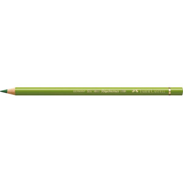 Color Pencil Polychromos // earth green yellowish