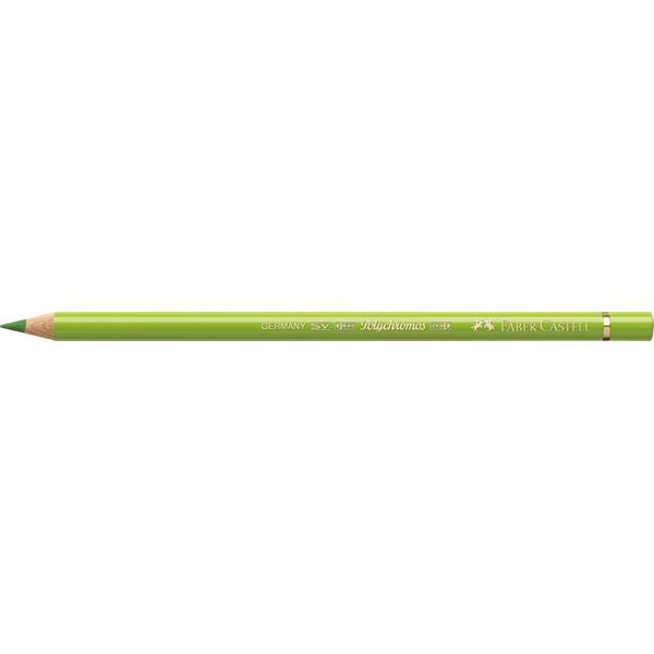 Color Pencil Polychromos // may green