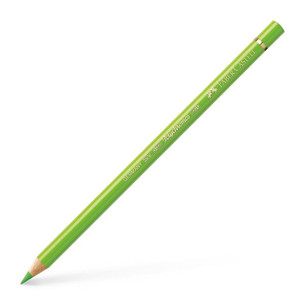 Color Pencil Polychromos // light green