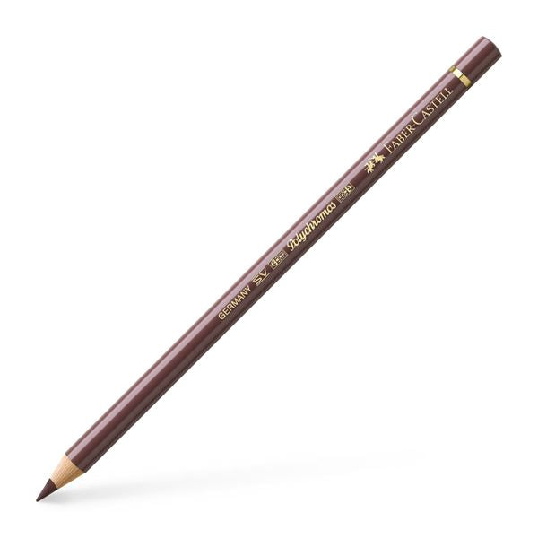 Color Pencil Polychromos // Van Dyck brown