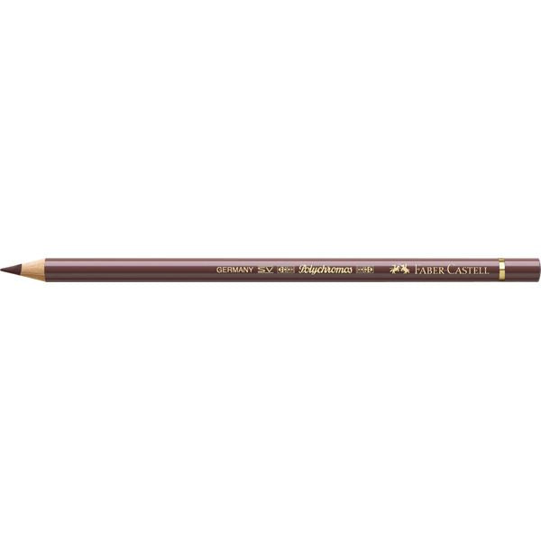 Color Pencil Polychromos // Van Dyck brown