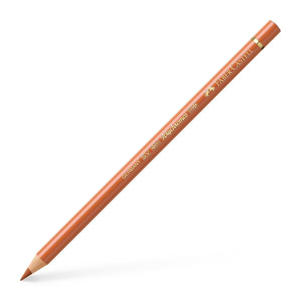 Color Pencil Polychromos // burnt ochre