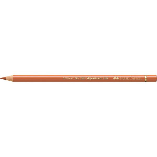 Color Pencil Polychromos // burnt ochre