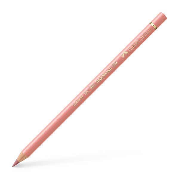 Color Pencil Polychromos // cinnamon