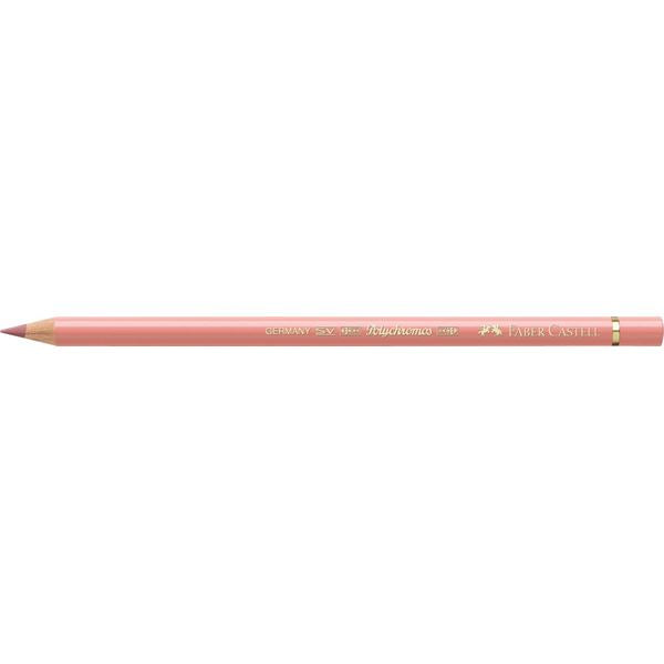 Color Pencil Polychromos // cinnamon