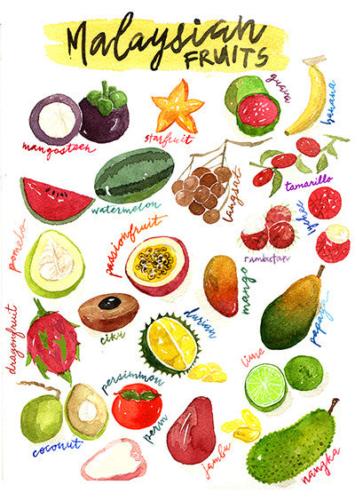 Malaysian Fruits Postcard  - Stickerrific