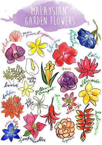 Malaysian Garden Flowers Postcard  - Stickerrific