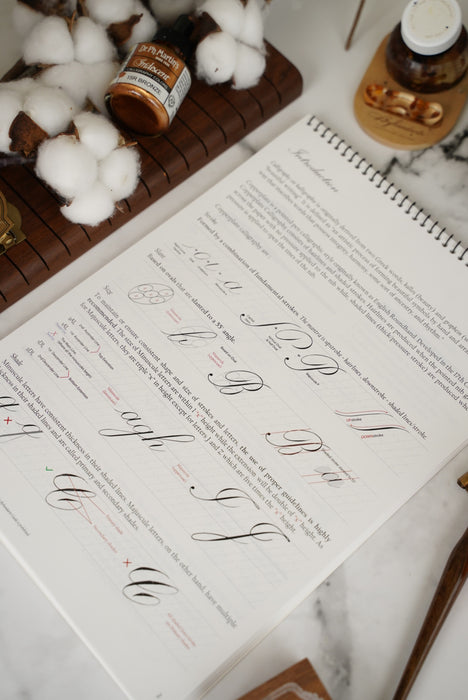 Byhandarts Beginner's Copperplate Calligraphy Practice Book
