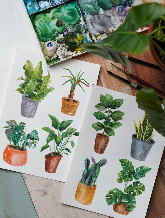 Art With Stickerrific: House Plants Watercolor Coloring Pages