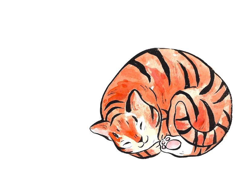 Sleeping Tiger Postcard