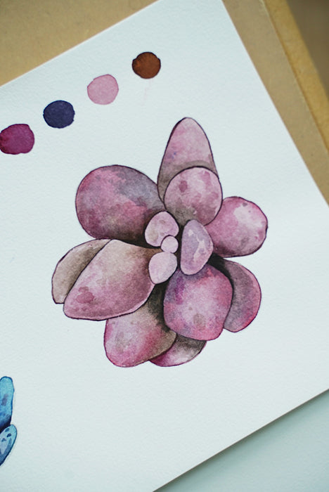 Art With Stickerrific: Succulents Watercolor Coloring Pages