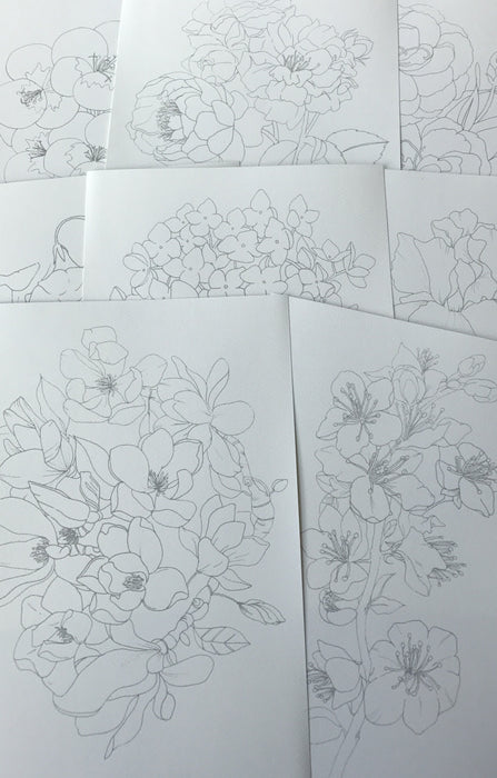Art With Stickerrific: Botanical Watercolor Coloring Pages